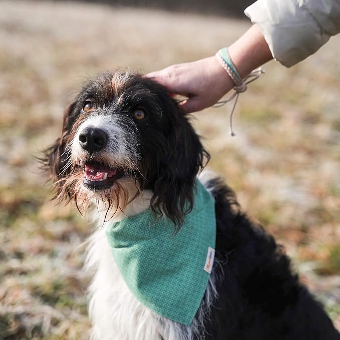 Pettsie Hemp Dog Bandana Collar & Matching Owner Friendship Bracelet | Adjustable, Durable Hemp & Soft Cotton, Matching Friendship Bracelet, Designed for Dog Lovers