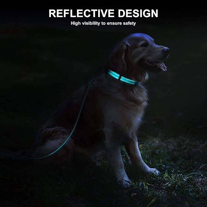 Soft Neoprene Padded Dog Collar and Leash Set for Small Medium Large Dogs, Reflective Durable Nylon Dog Collar with 5ft Leash Easy for Walking, Teal,Neck fit 10.5-15.5’’