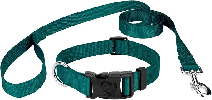Country Brook Petz - Everyday Nylon Dog Collar and Leash - 10+ Cool Colors (1 Inch, Large, Teal)
