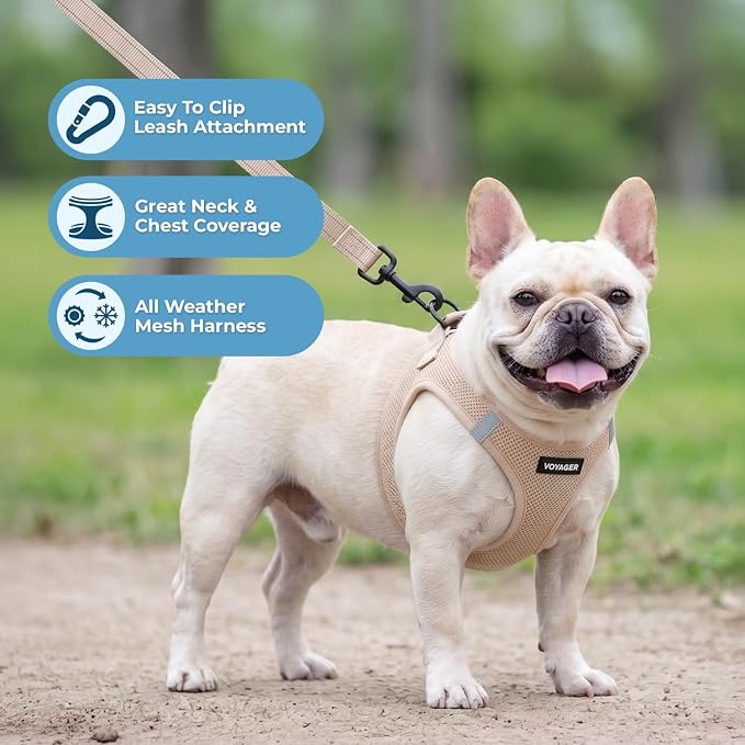 Best Pet Supplies Voyager Step-in Air All Weather Mesh Harness and Reflective Dog 5ft Leash Combo with Neoprene Handle, for Small, Medium and Large Breed Puppies - Khaki, M