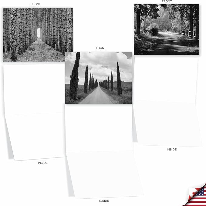 The Best Card Company - Box of 10 All Occasion Cards Blank (4 x 5.12 Inch) - Scenic Landscape Cards Assorted - Tree Lines M3313-NB
