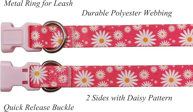 Dog Collar Leash Set, Floral Pattern, Polyester Material, Adjustable Collar and 5ft Matching Leash, for Medium Dogs.(M, Daisy)