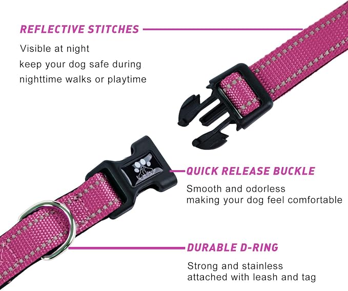 FURRYFECTION Reflective Dog Collar and Leash Set with Quick Release Buckle, Padded with Neoprene, Adjustable Nylon for Small, Medium and Large Dogs (Large Collar + 5FT Leash, Hot Pink)