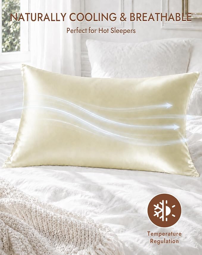 SilkSilky 100% Pure Organic Mulberry Silk Pillowcase for Hair & Skin, Both Sides Grade 6A Pillow Cases with Hidden Zipper, Breathable Cooling Silk for Beauty Sleep (Standard 20''x26'', Beige)