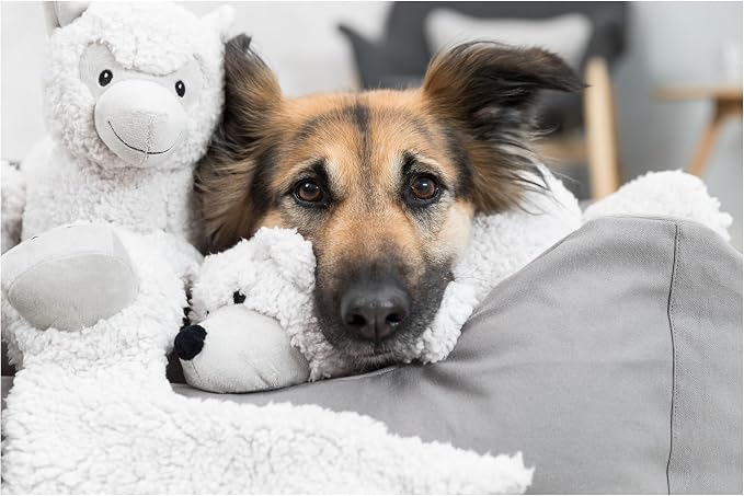 TRIXIE Be Eco Emir The Otter Plush Dog Toy for All Dogs, 12" Fun and Cuddly Squeaky Dog Toy, 96% Recycle Material