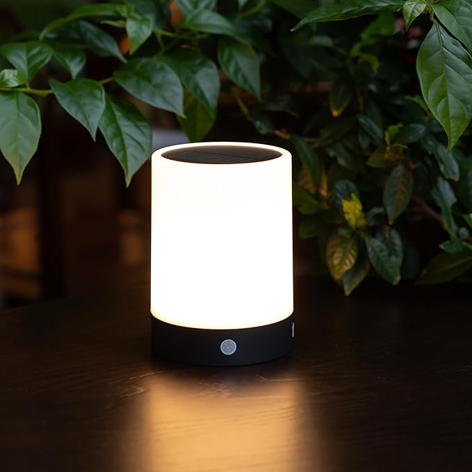 ORIMSBO® Solar Table Lamp, USB & Solar Rechargeable Bedside Night Light, 4 Brightness Levels, IP65 Waterproof, Portable Light for Bedroom, Camping, Patio, Emergency Use
