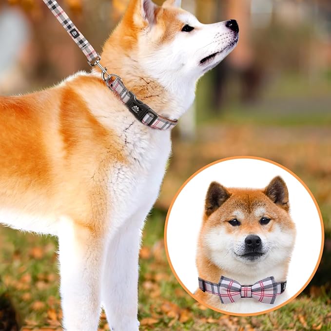 IVY&LANE Dog Collar with Bowtie and Leash Set | Plaid Adjustable Dog Collar | Detachable Bow Tie |5 FT Dog Leash | for Small Medium Large Dogs | Checkered Beige | X-Small