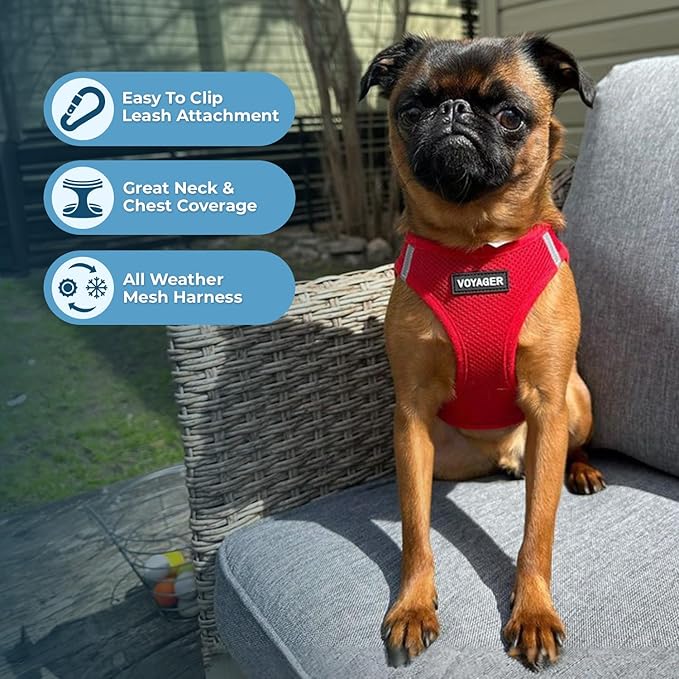 Best Pet Supplies Voyager Step-in Air All Weather Mesh Harness and Reflective Dog 5ft Leash Combo with Neoprene Handle, for Small, Medium and Large Breed Puppies - Set (Red), Large