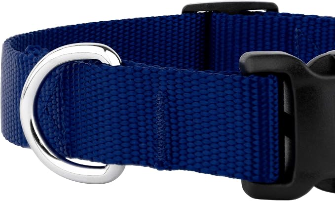 Country Brook Petz - Deluxe Nylon Dog Collar and Leash - 10+ Cool Colors (3/8 Inch, 2XS, Royal Blue)