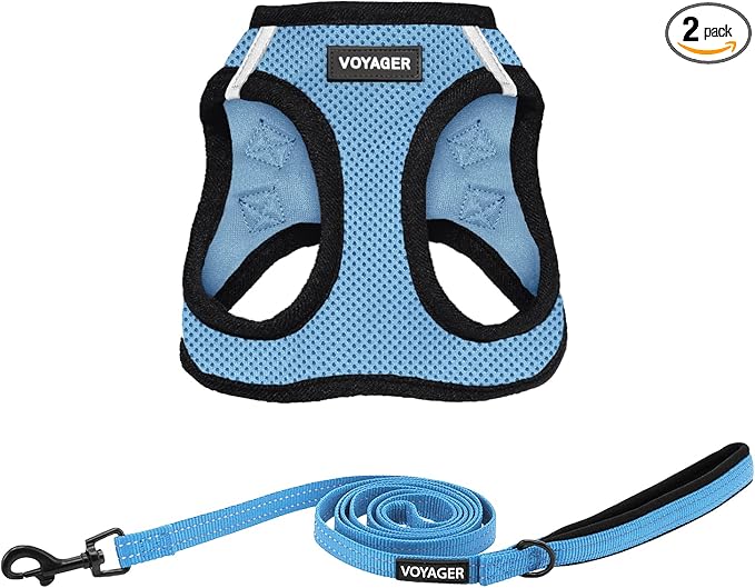 Best Pet Supplies Voyager Step-in Air All Weather Mesh Harness and Reflective Dog 5ft Leash Combo with Neoprene Handle, for Small, Medium and Large Breed Puppies - Baby Blue/Black Trim, X-Small