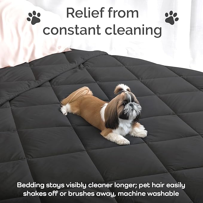 Cooling Comforter Queen Size - Lightweight All Season Down Alternative Duvet Insert, Hypoallergenic Plush Fill, 100% Viscose from Bamboo Cover - Charcoal, 88" x 90"