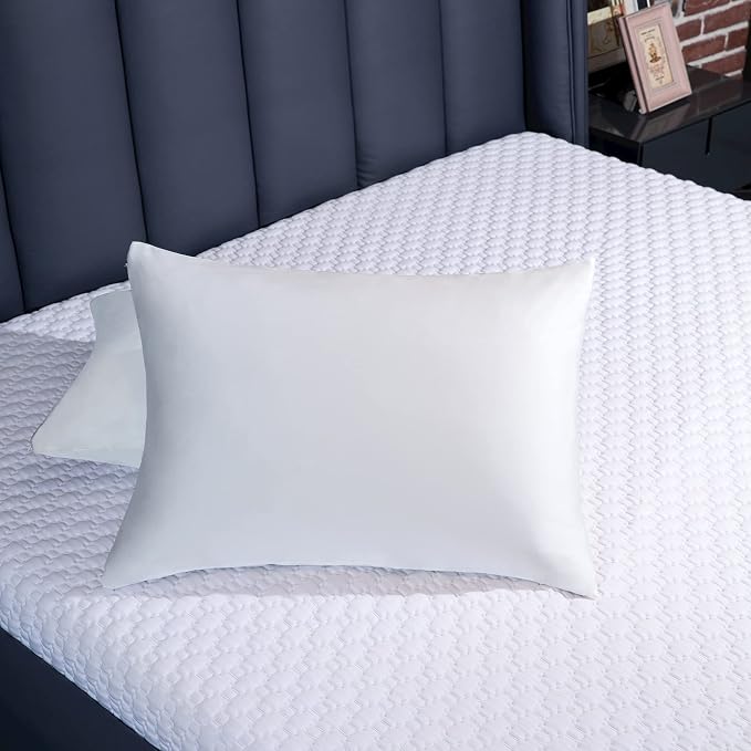 100% Mulberry Silk Pillowcase 2 Pack for Hair and Skin,with Hidden Zipper,Both Sides 19 Momme 600 Thread Count Natural Silk Pillow Cover,Soft Breathable Smooth (White, Queen 20''x30'')
