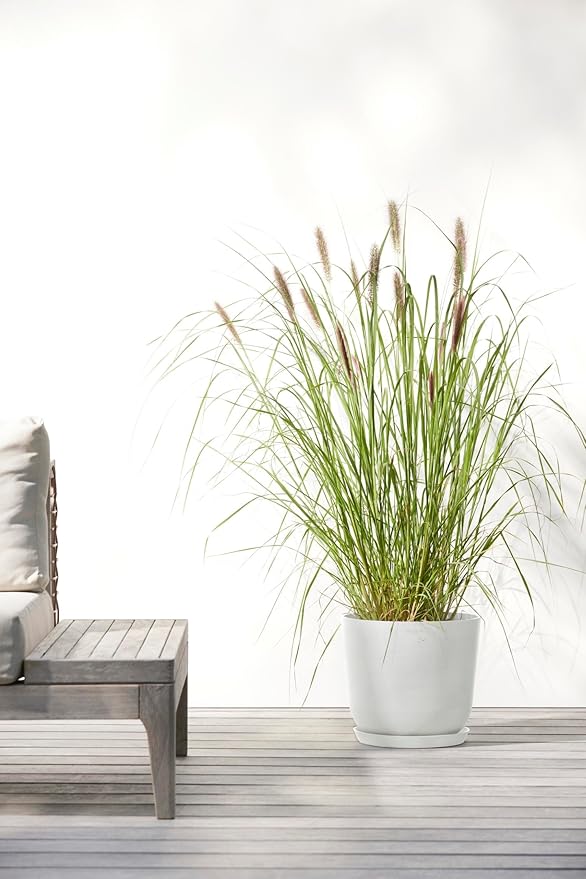 Ecopots Oslo Durable Modern Round Indoor/Outdoor Recycled-Based Composite Flower Pot Planter, Pure White, 10"