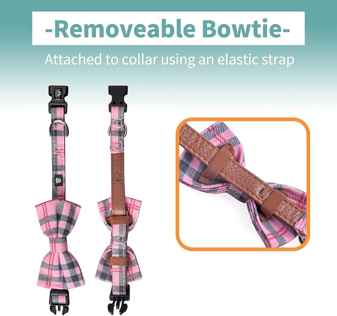 IVY&LANE Dog Collar with Bowtie and Leash Set | Plaid Adjustable Dog Collar | Detachable Bow Tie |5 FT Dog Leash | for Small Medium Large Dogs | Checkered Pink | Small
