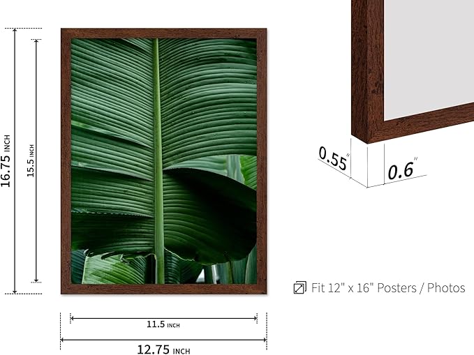Monem Art Tropical Banana Leaf Photography Print - Minimalist Botanical Nature Poster - Wall Decor for Living Room, Bedroom or Office - 12x16 Brown Framed Wall Art by Mareike Bohmer