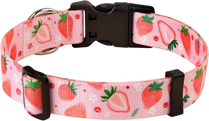 MarukoPet Dog Collar and Leash Set, Adjustable for Small Medium Large Dogs Puppy, Cute Design with Bohemia Floral Tribal Geometric Patterns Boys Girls Dog Collar(Strawberry Set,L)