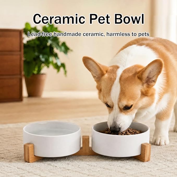 MateeyLife Ceramic Dog and Cat Bowls with Stand, 2-Pack Food and Water Bowl Set - Non-Slip Pet Bowls for Small & Medium Size Dogs，28.7OZ(White)
