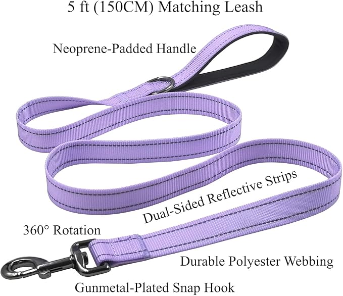 Dog Collar Leash Set,with Relfective Strips,Lilac Purple,Extra Small. | Adjustable Collar,5 ft Matching Leash,Neoprene Padded Handle.