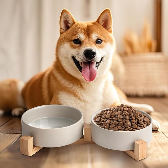 Mowtanco Grey Ceramic Dog & Cat Bowl Set – 13.5 OZ with Wooden Stand, Non-Slip, Elevated Design for Small Dogs & Cats – 2 Bowls (Food & Water, Ceramic Pet Bowls, Modern Dog Bowls)