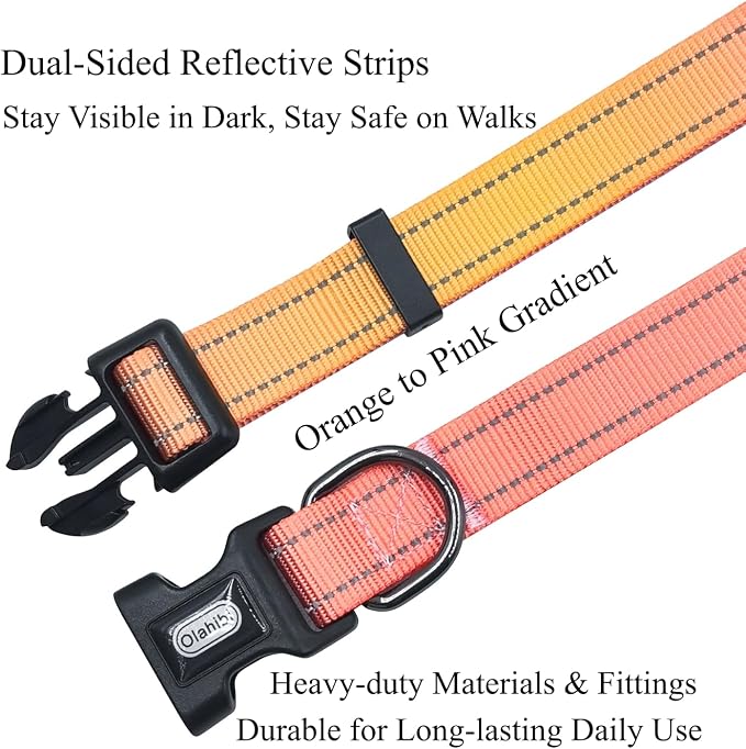 Dog Collar Leash Set, Gradient Color, with Safety Reflective Strips, 5 ft Matching Leash, Neoprene Padded Handle, Adjustable 4 Sizes for Small Medium Large Dogs.(M, Orange Pink)