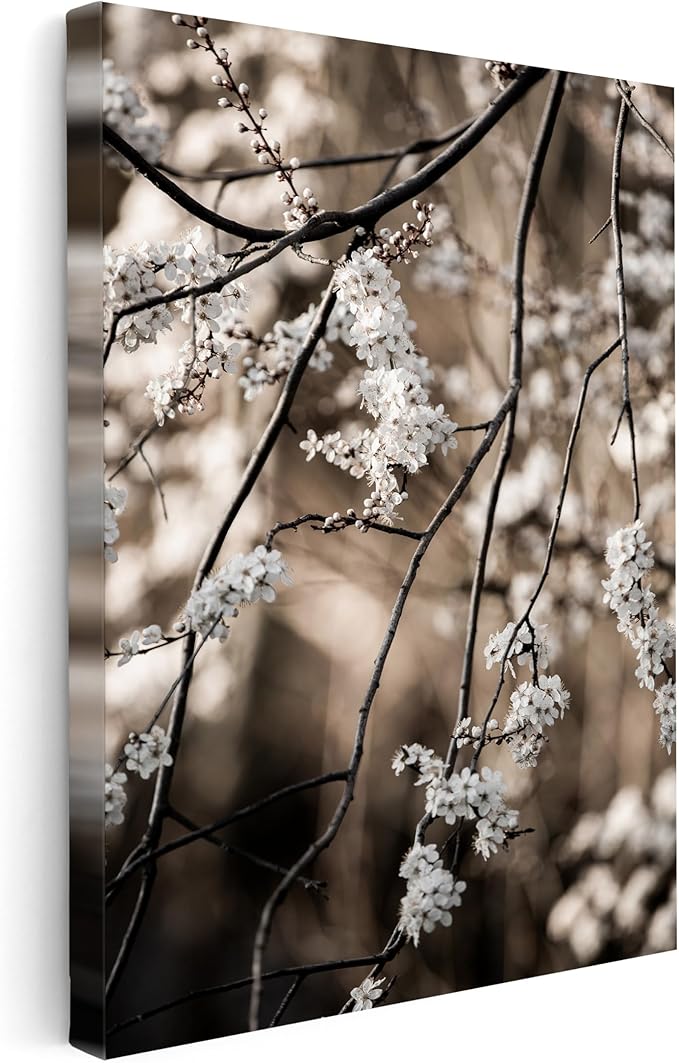 Monem Art Cherry Blossom Branch Photography Print - Moody Botanical Nature Art Poster - Wall Decor for Living Room, Bedroom or Office - 12x16 STRETCHED CANVAS Wall Art by Mareike Bohmer