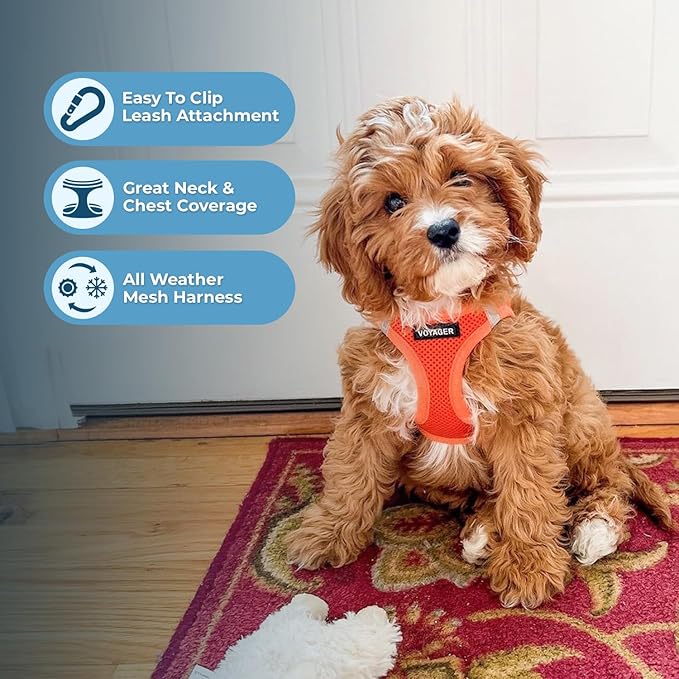 Best Pet Supplies Voyager Step-in Air All Weather Mesh Harness and Reflective Dog 5ft Leash Combo with Neoprene Handle, for Small, Medium and Large Breed Puppies - Set (Orange), XXX-Small