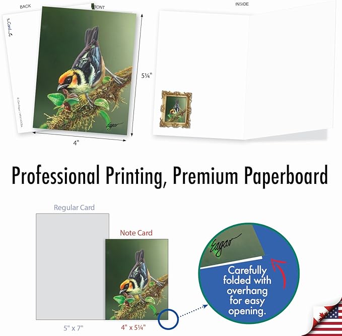 The Best Card Company - 20 Blank Notes with Envelopes - All Occasion Animal Assortment (10 Designs, 2 Each) - Bird Beauties AM9616OCB-B2x10