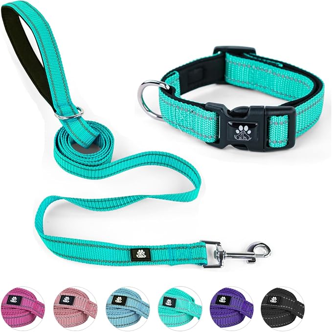 NESTROAD Dog Collar and Leash Set,Reflective Dog Collars with Quick Release Buckle,Adjustable Nylon Pet Collar for Small Medium Large Dogs(Small,Teal)