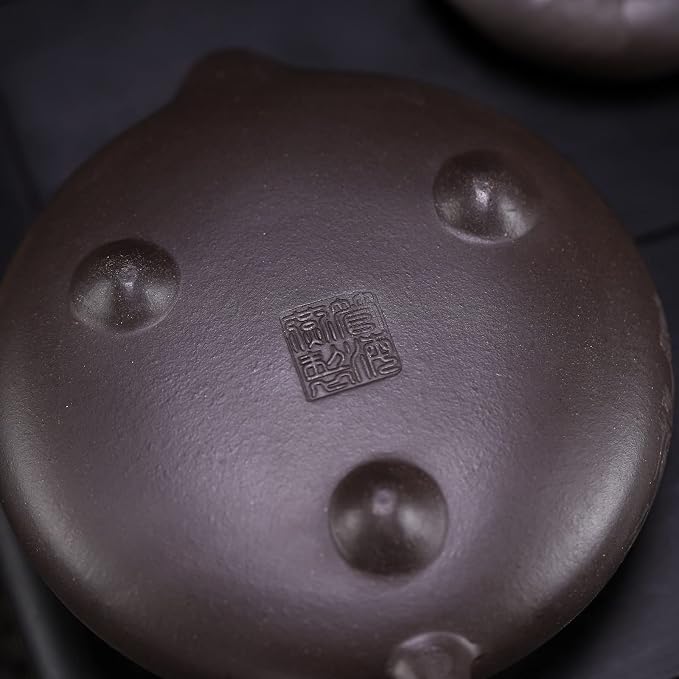 Zisha Teapot, Chinese Yixing Clay Handmade Teapot 6.7 Oz, Infuse Brew Kung Fu Loose Leaf Tea Maker -HantangShipiao,Black Clay