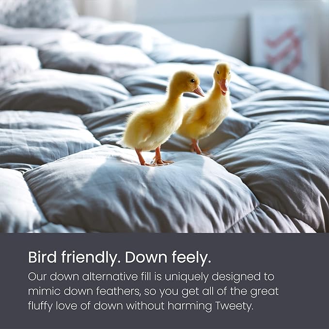 Layla All Season Down Alternative Comforter, (White, Full/Queen), 300 Thread Count 100% Cotton Fabric with Corner Loops