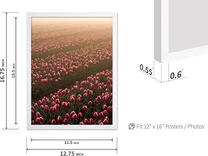 Monem Art Golden Tulip Field Sunset Photography Print - Romantic Spring Landscape Art Poster - Wall Decor for Living Room, Bedroom or Office - 12x16 White Framed Wall Art by Mareike Bohmer