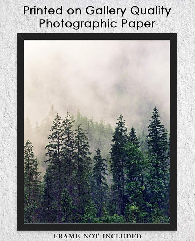 Buzz Unplugged Foggy Forest Abstract Wall Art: Minimalist, Aesthetic & Boho Wall Art for Home, Office, Bedroom & Living Room Decor - Unframed Posters 8x10