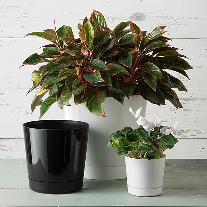 Novelty Majestic Full Depth Cylinder Pot, Glossy White, 10-Inch (10102)