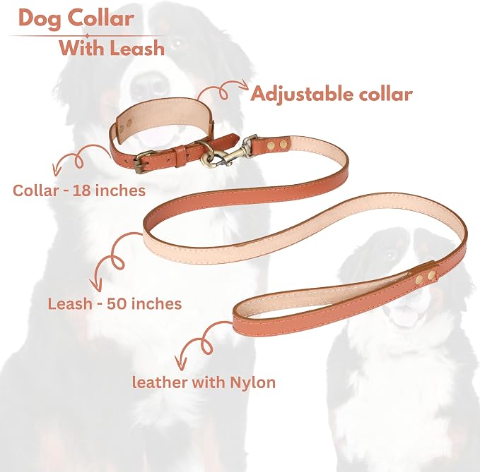 Lightnpro Tan Leather Dog Collar & Leash Set - 18" Adjustable Leather Nylon Collar with Metal Buckle & 50" Durable Lead - Comfortable, Stylish Combo for German Shepherds,Bernards & Other Large Breeds