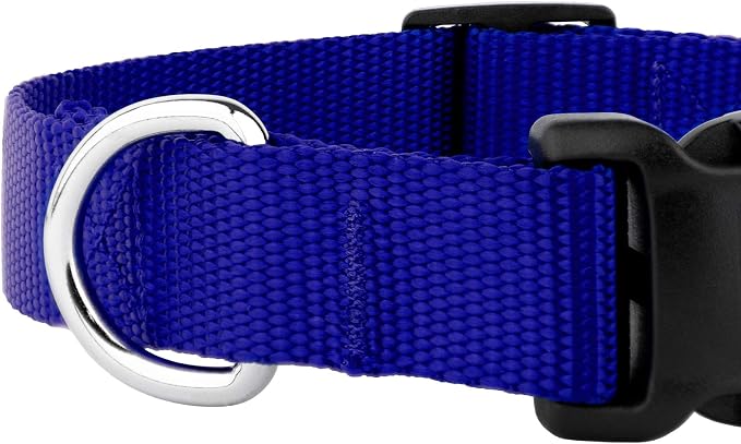 Country Brook Petz - Everyday Nylon Dog Collar and Leash - 10+ Cool Colors (3/4 Inch, Small, Bright Royal Blue)