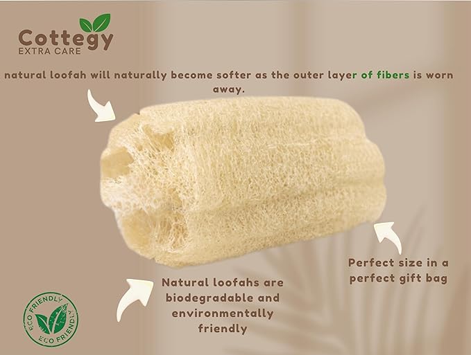 Egyptian Loofah Exfoliating Scrubber - Natural Loofah Exfoliating Body Scrubber - Eco-Friendly Bath & Shower Sponge for Face & Body, 100% Natural, Men & Women - Double face (2, Large)