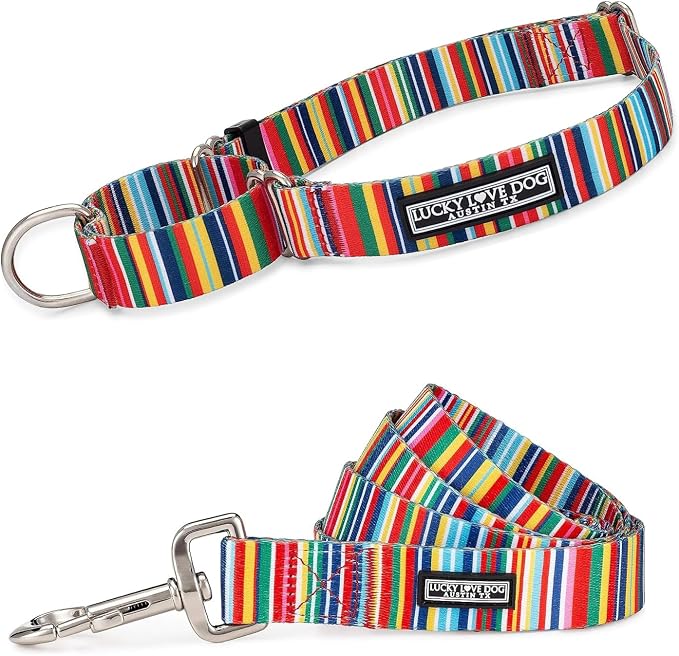 Lucky Love Dog Martingale Dog Collar & Leash - Adjustable, No-Slip, Durable, Comfortable, Soft Webbing, & Stylish Patterned Collar & Leash Set for Male and Female Dogs - Hippie Combo, Small