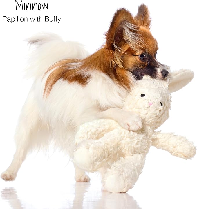 Plush Durable Cotton Dog Toys with Coconut Fill for All Pet Breeds, Bear Bunny Elephant (with Basket), One Size