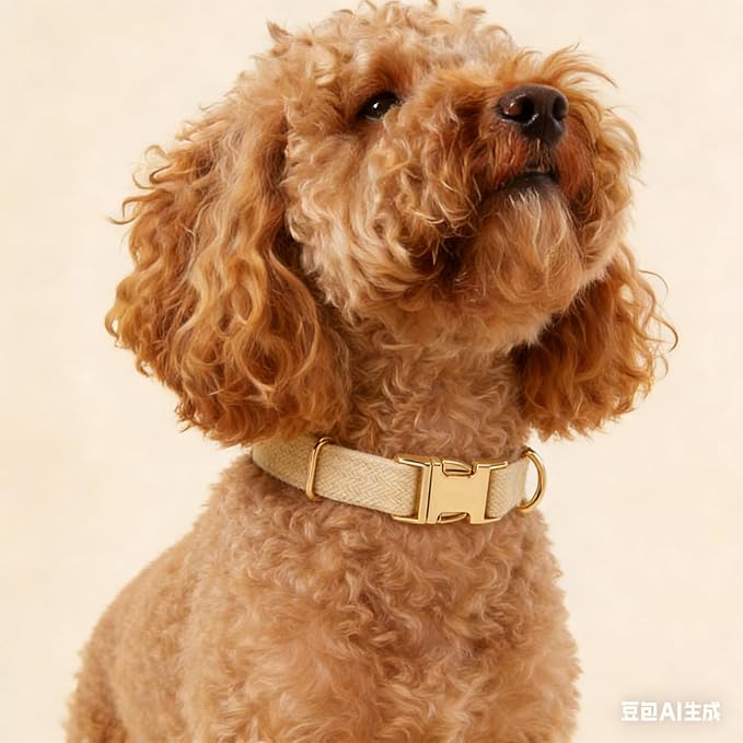 Soft Dog Collar and Leash Set Adjustable Woven Tweed Dog Collars with Metal Buckle and Lead for Small Medium Large Dogs,Beige