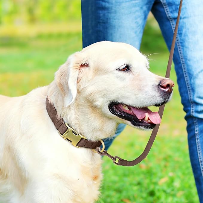 Genuine Leather Dog Collar - Adjustable Pet Collar with Quick Release Metal Buckle, Soft Skin Friendly Real Leather Collar for Small, Medium, Large Dogs (Dark Brown, L：Fit 15-23" Neck)