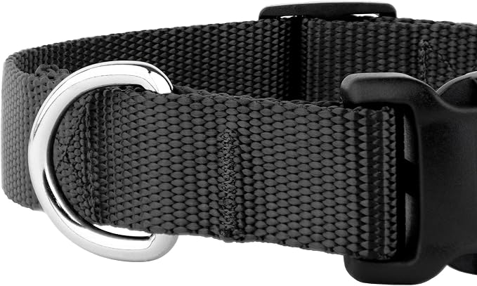 Country Brook Petz - Everyday Nylon Dog Collar and Leash - 10+ Cool Colors (3/8 Inch, Extra Small, Black)