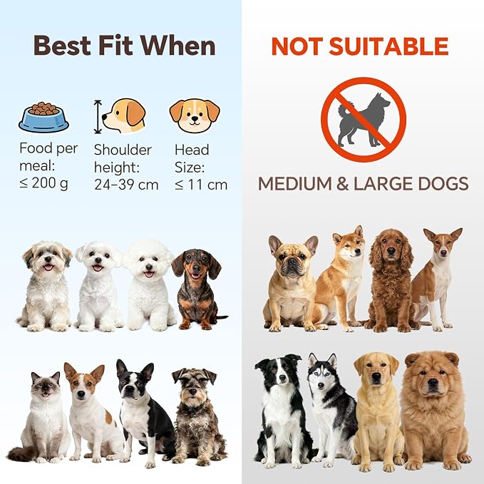 Elevated Ceramic Dog Bowl with Metal Stand - Raised Feeding Dish for Small Dogs and Cats - Ideal for Food or Water - Each Holds 400ml / 2 Cups (Approx. 200g) - White
