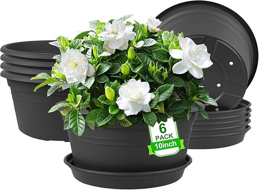 6 Pack 10 inch Plant Pot, Round Plastic Plant Pots, Outdoor Pots for Plants with Drainage Hole & Tray Saucer, Decoration Flower Pots for Indoor Plants Home Garden Outdoor Planters (Dark Gray)