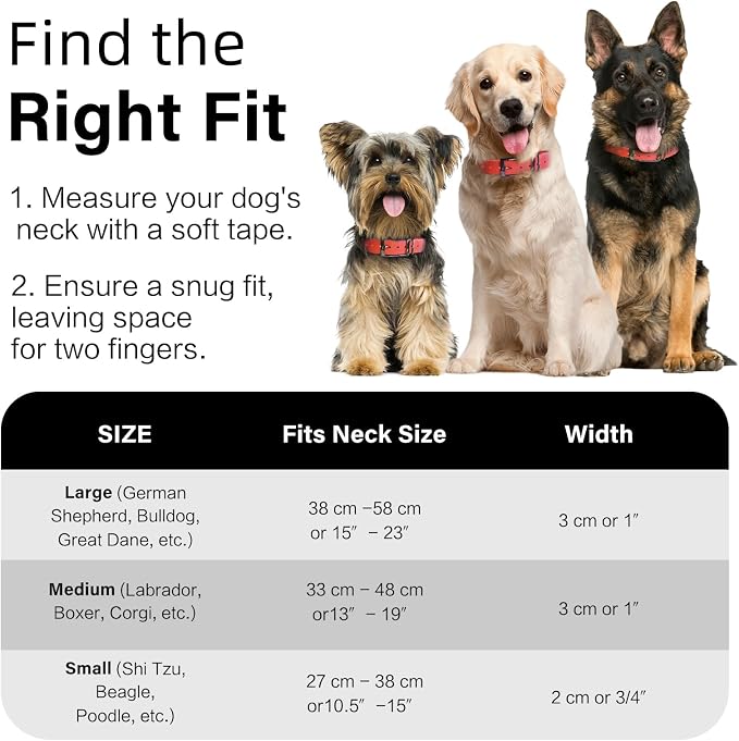 4.2FT Dog Collar and Leash Set, PVC Waterproof Adjustable Odor Proof Pet Collars Leashes, Easy to Clean, Surface 3D Cube Effect, Dog Leash for Small Dogs, Orange