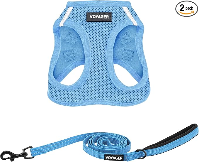 Best Pet Supplies Voyager Step-in Air All Weather Mesh Harness and Reflective Dog 5ft Leash Combo with Neoprene Handle, for Small, Medium and Large Breed Puppies - Baby Blue, X-Small