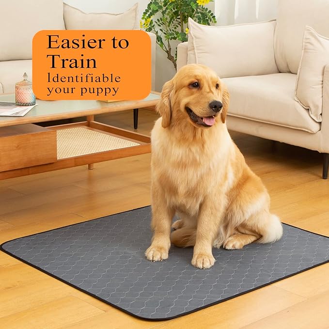 Bunlitent Washable Pee Pads for Dogs 5 Pack, 34x36 Reusable Puppy Pads with Quick Dry, Anti-Slip, Ideal for House Training, Crate & Whelping, Dog Carpet