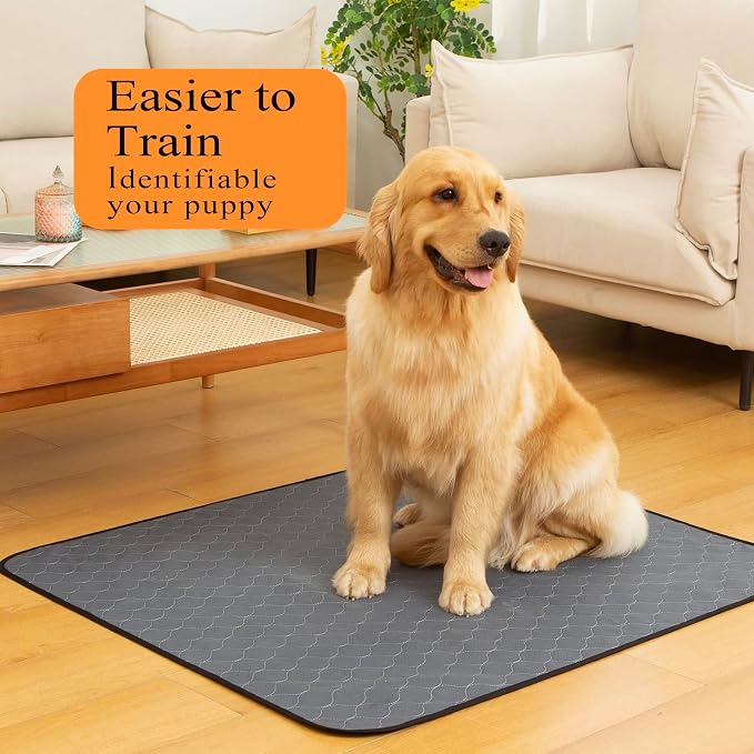 Bunlitent Washable Pee Pads 5 Pack, 36"x48", Reusable Pee Pads for Dogs, Puppy Pads Washable with Quick Dry, Anti-Slip Dog Pee Pads, Whelping Pads, Dog Carpet