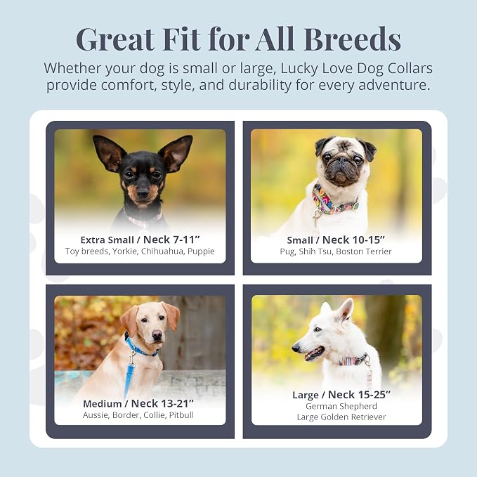 Lucky Love Dog Martingale Dog Collar - Adjustable, No-Slip, Durable, & Soft Webbing Collar for Male and Female Dogs Ideal for Training & Walking - Ladybird, Medium