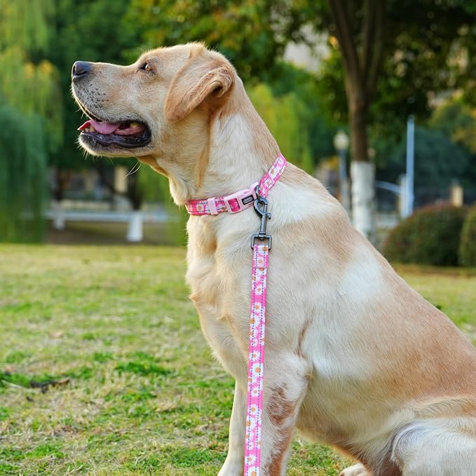 Dog Collar Leash Set, Floral Pattern, with Safety Reflective Strips, 5 ft Matching Leash, Neoprene Padded Handle, Adjustable 4 Sizes for Small Medium Large Dogs.(XS, Pink Daisy)