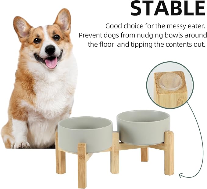 Havniva 6.1” Dog Bowls Elevated Ceramic Dog Food and Water Bowl Set, Double Raised Dog Water Bowl with Stand Non-Slip Rubber Base Two Heights Large Capacity Feeding Pet Food Bowl for Small Dogs